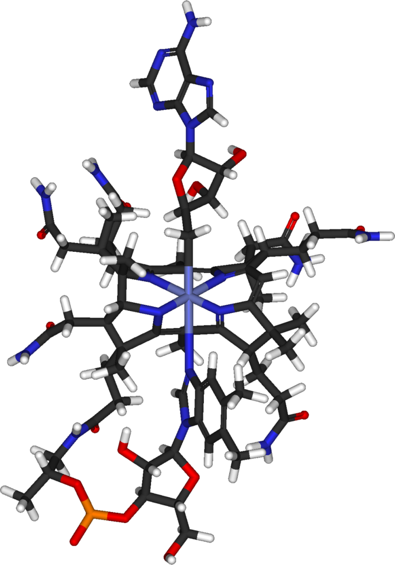 Food With the Most Vitamin B12, Spirulina? Spirulina the Great