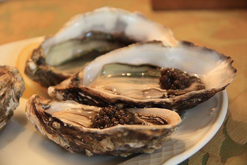 oysters