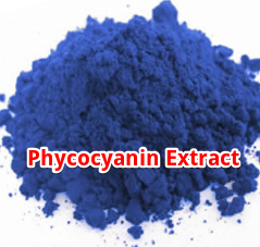 best phycocyanin supplement